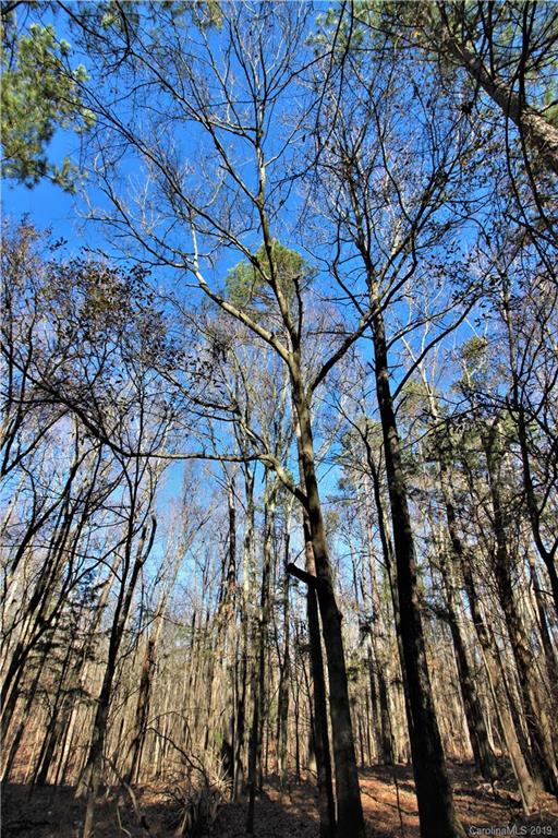 2-acres Caroline Acres Road Indian Land, SC 29707 - Photo 14 of 16