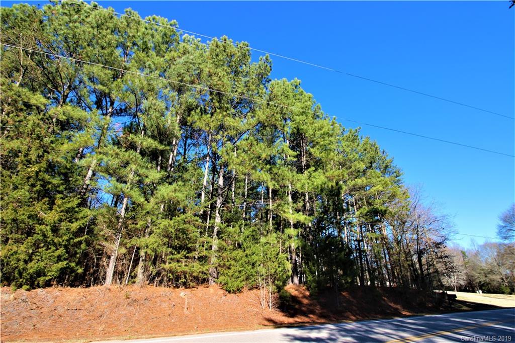 2-acres Caroline Acres Road Indian Land, SC 29707 - Photo 3 of 16