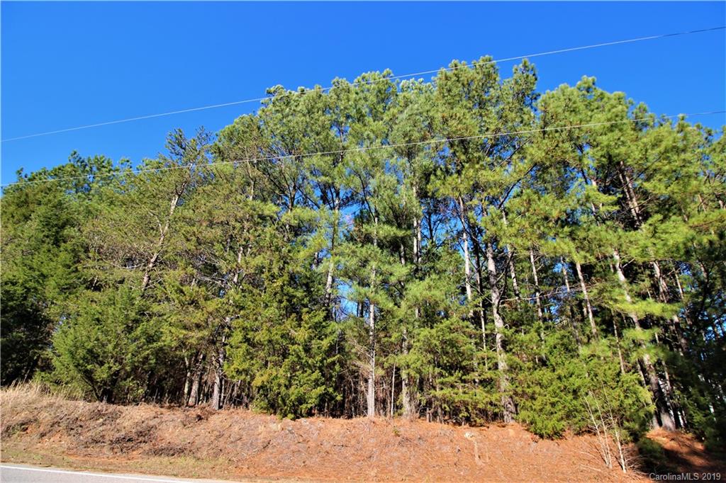 2-acres Caroline Acres Road Indian Land, SC 29707 - Photo 4 of 16