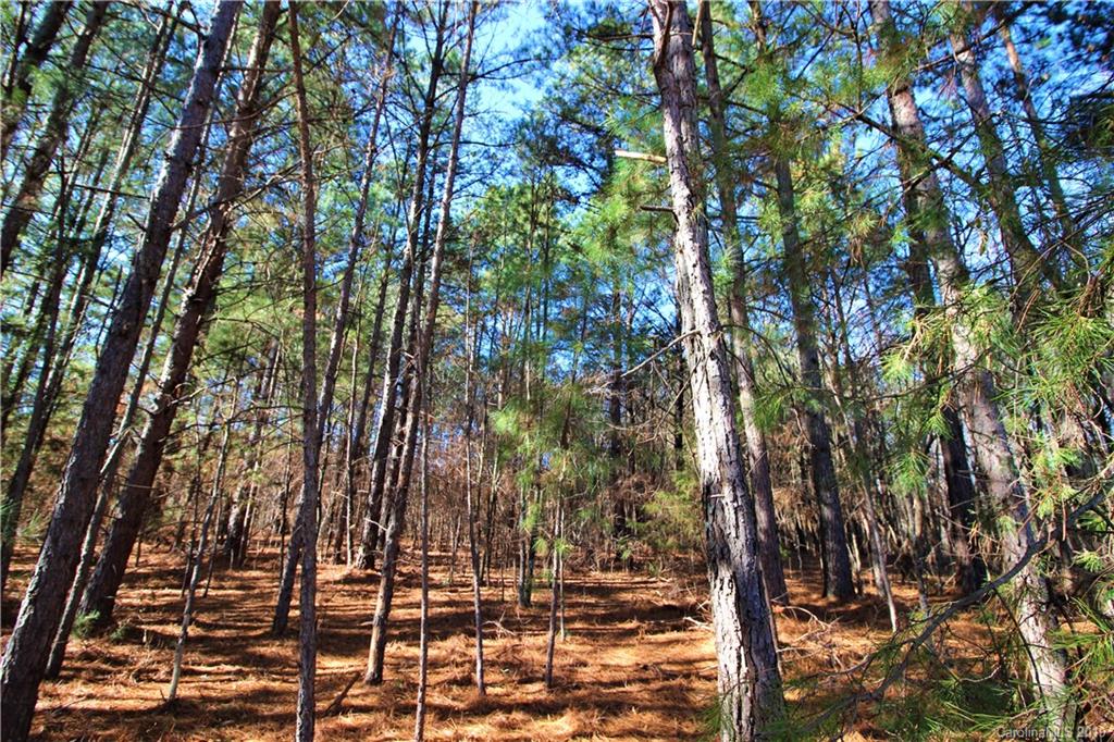 2-acres Caroline Acres Road Indian Land, SC 29707 - Photo 8 of 16