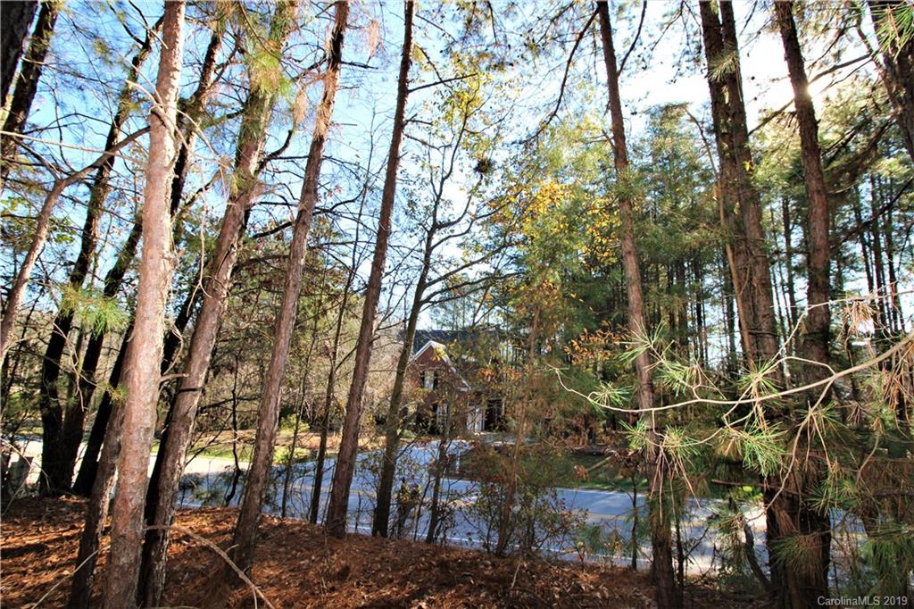 2-acres Caroline Acres Road Indian Land, SC 29707 - Photo 10 of 16