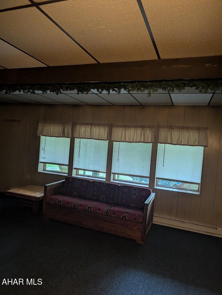 198 Blue Knob Road Portage, PA 15946 - Photo 19 of 111 Gallery Image 19
