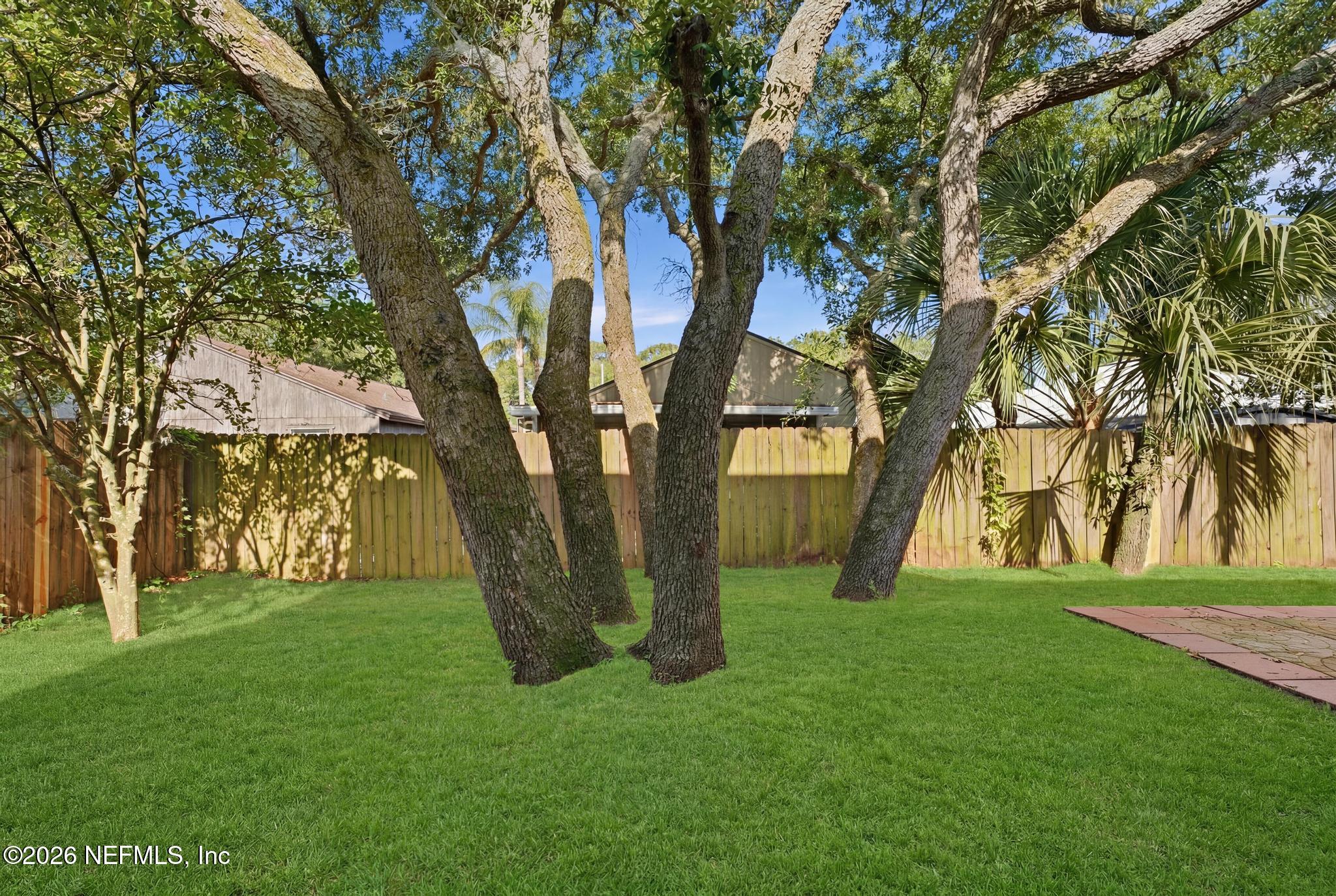 1126 Penman Road Jacksonville Beach, FL 32250 - Photo 38 of 38 Backyard