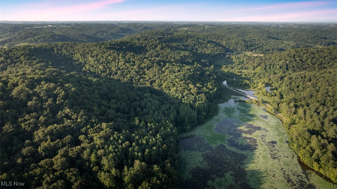 36900 Lower Clearfork Road Scio, OH 43988 - Photo 6 of 26 Aerial view of property and surrounding area featuring a forest