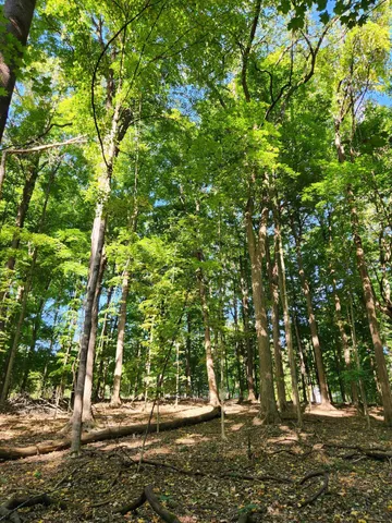 $239,999 | 15973 Walnut Street, Buchanan, MI 49107