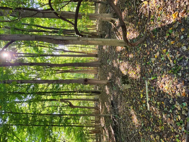 $239,999 | 15973 Walnut Street, Buchanan, MI 49107