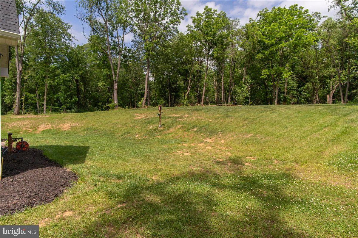 2390 Shirley Road Charles Town, WV 25414 - Photo 65 of 69 a view of a yard with a large trees