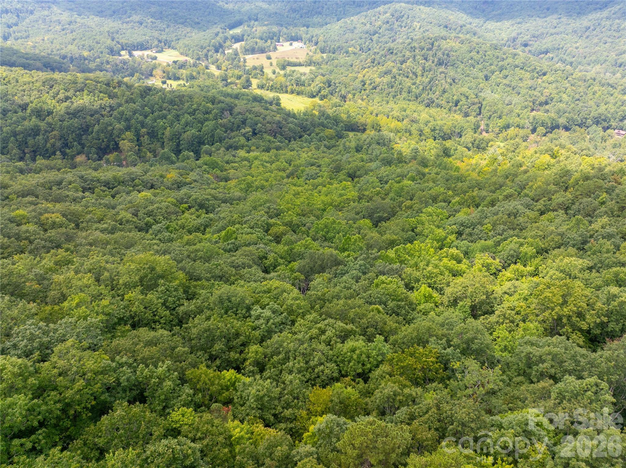 7777 Saw Branch Road Candler, NC 28715 - Photo 16 of 19 Gallery Image 16