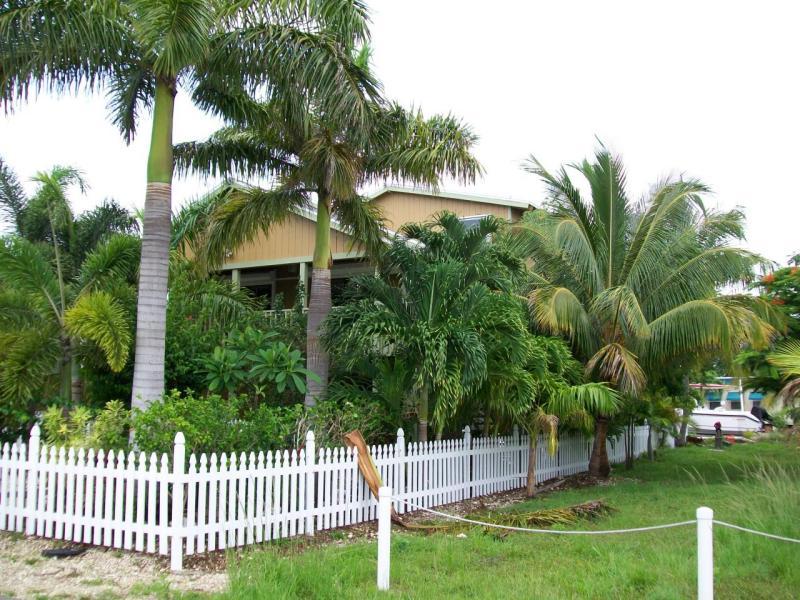 Side view