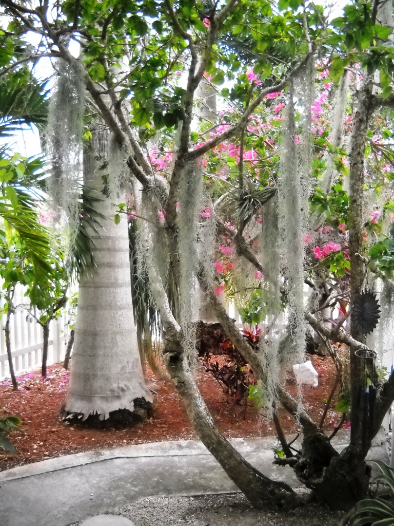 3931 Gordon Road Big Pine Key, FL 33043 - Photo 41 of 47 Landscappping