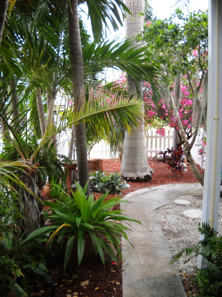 3931 Gordon Road Big Pine Key, FL 33043 - Photo 42 of 47 Landscapping 2