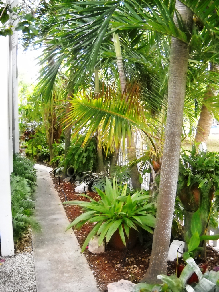 3931 Gordon Road Big Pine Key, FL 33043 - Photo 44 of 47 Walkway