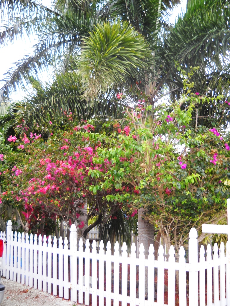 3931 Gordon Road Big Pine Key, FL 33043 - Photo 45 of 47 Fenced for privacy