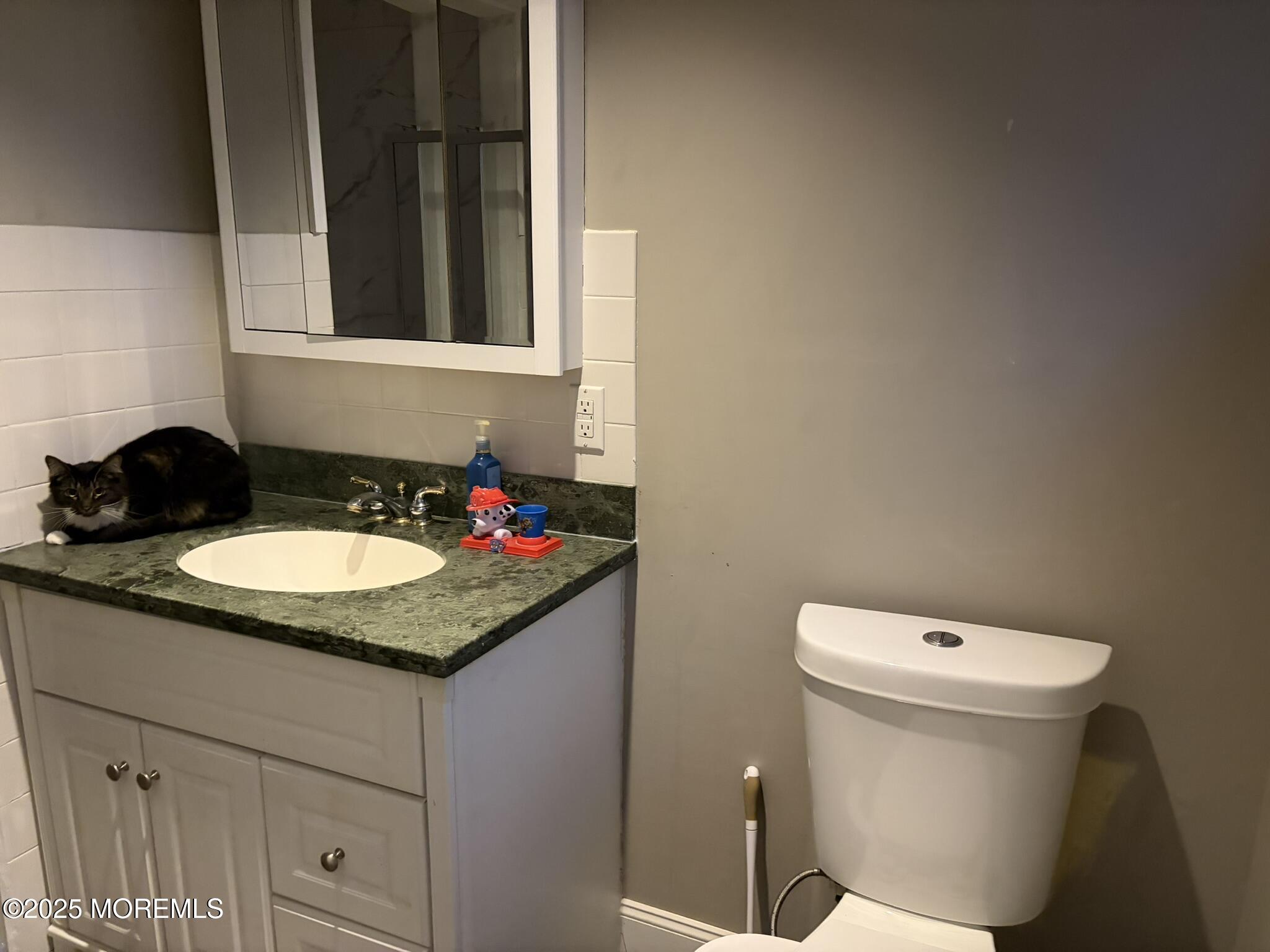 11 Chestnut Ridge Road Holmdel, NJ 07733 - Photo 27 of 44 a bathroom with a granite countertop sink and a toilet