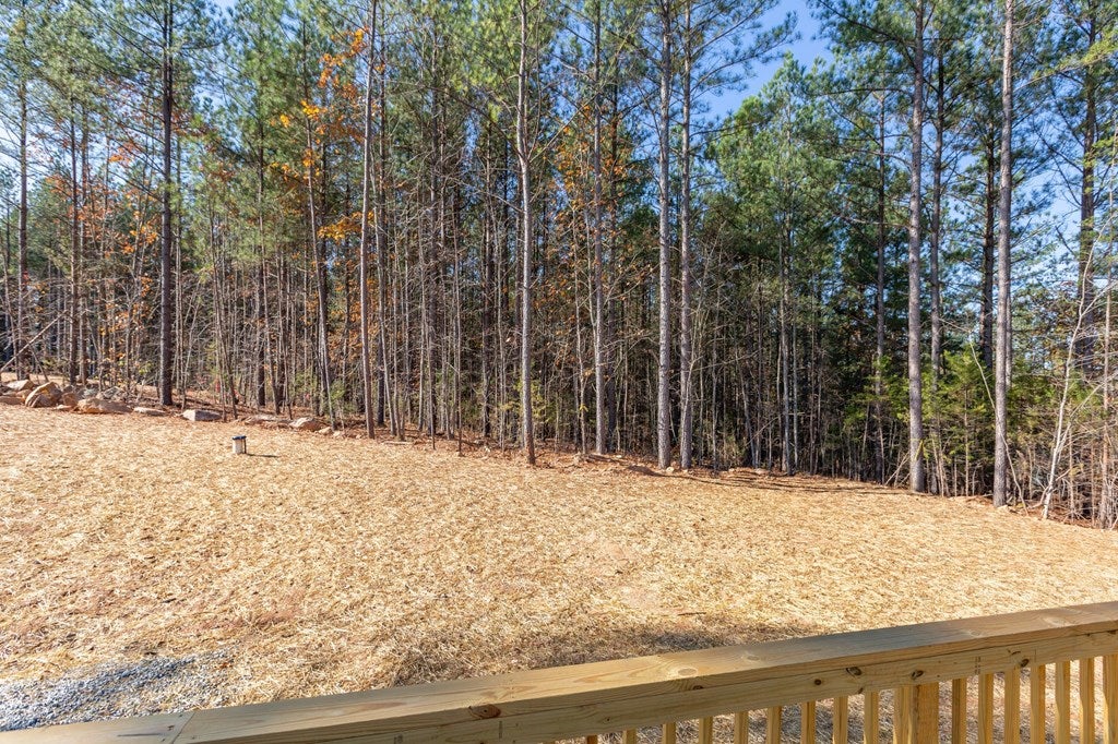 2297 Meherrin Road Meherrin, VA 23954 - Photo 25 of 59 Gallery Image 25