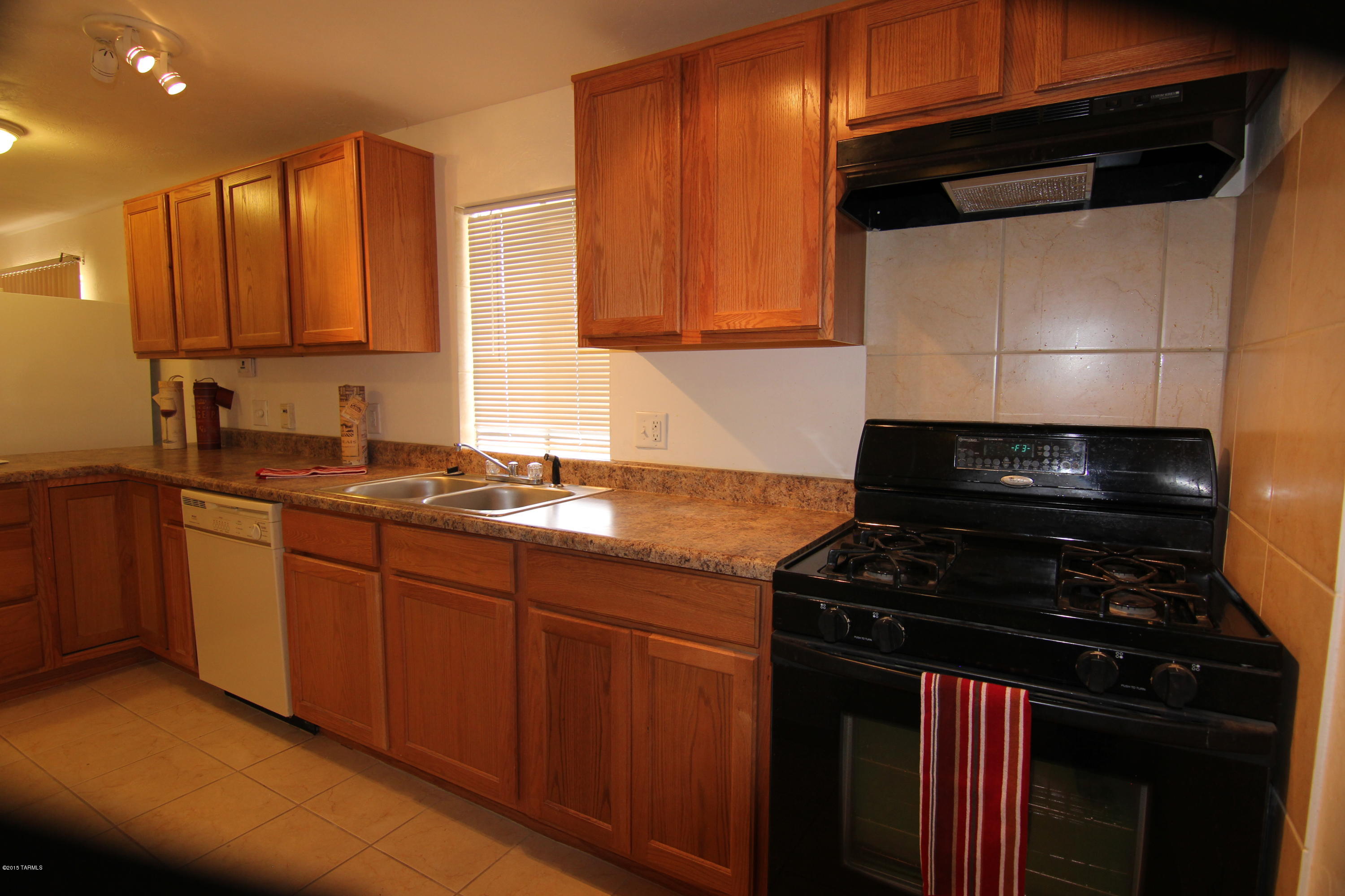 6933 West Bopp Road Tucson, AZ 85735 - Photo 3 of 21