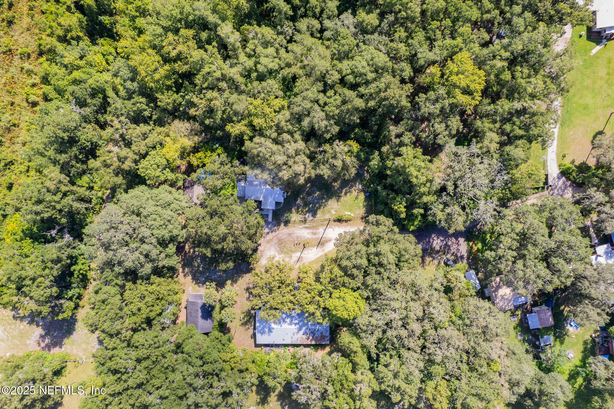 128 Devils Elbow Palatka, FL 32177 - Photo 31 of 38 a view of a tree with a yard