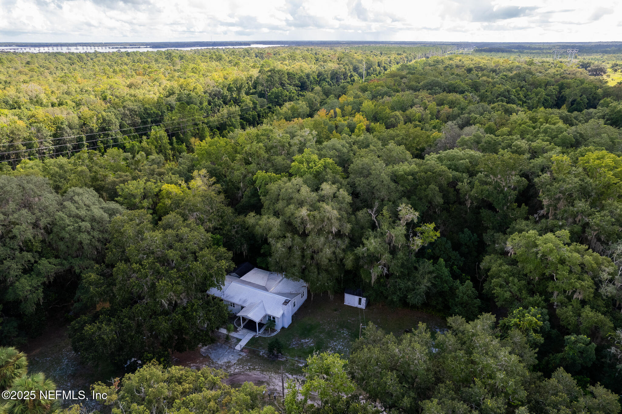 128 Devils Elbow Palatka, FL 32177 - Photo 36 of 38 a view of a forest with a house