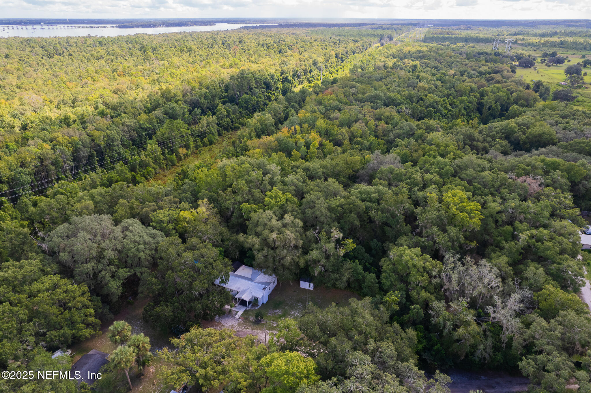 128 Devils Elbow Palatka, FL 32177 - Photo 38 of 38 a view of a forest with a houses
