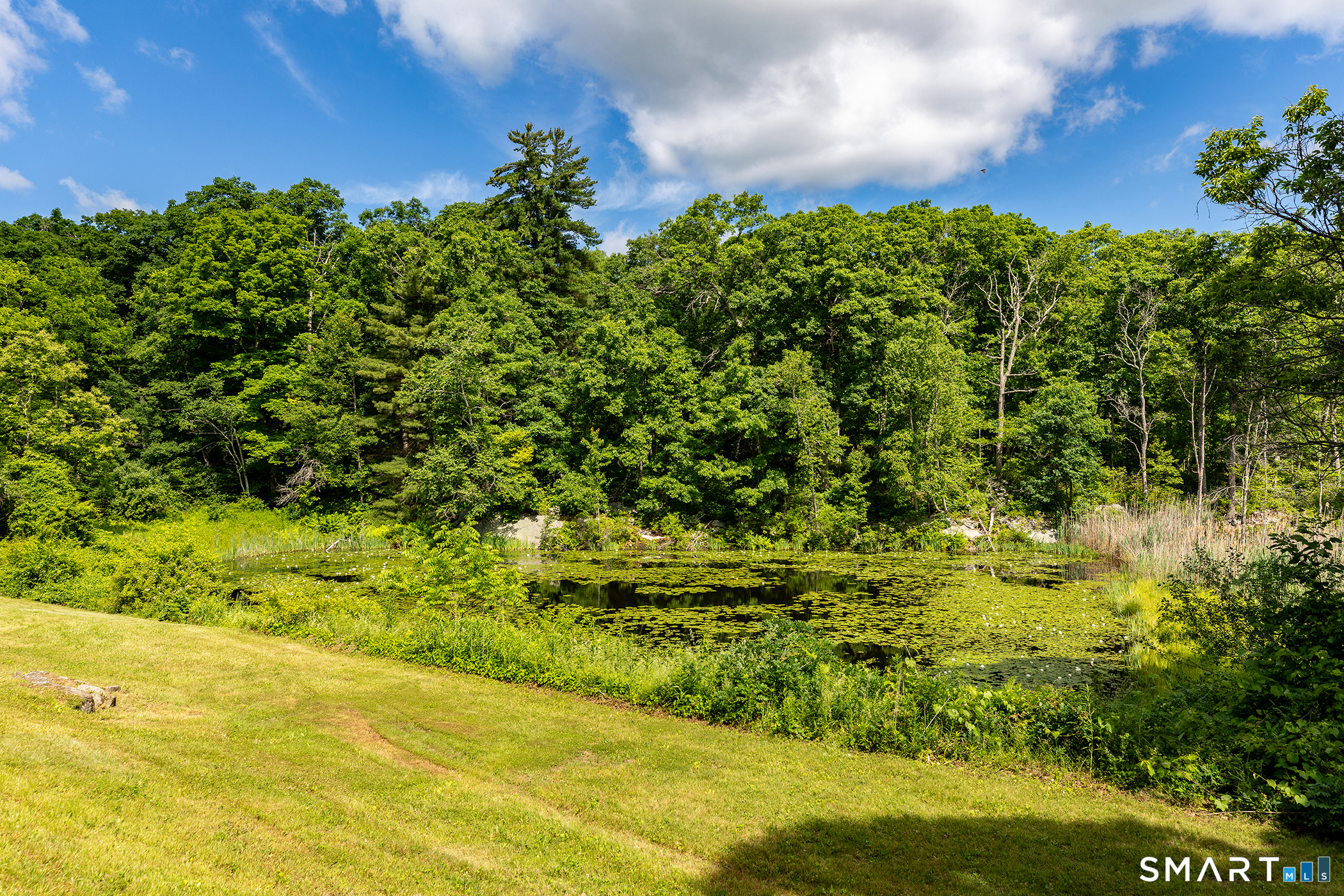 82 West Wds Road, Unit 2 Sharon, CT 06069 - Photo 7 of 32
