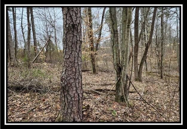 0 Metheny Fairplay Road, Unit TRACT 4) Vinton, OH 45686 - Photo 31 of 44 image031