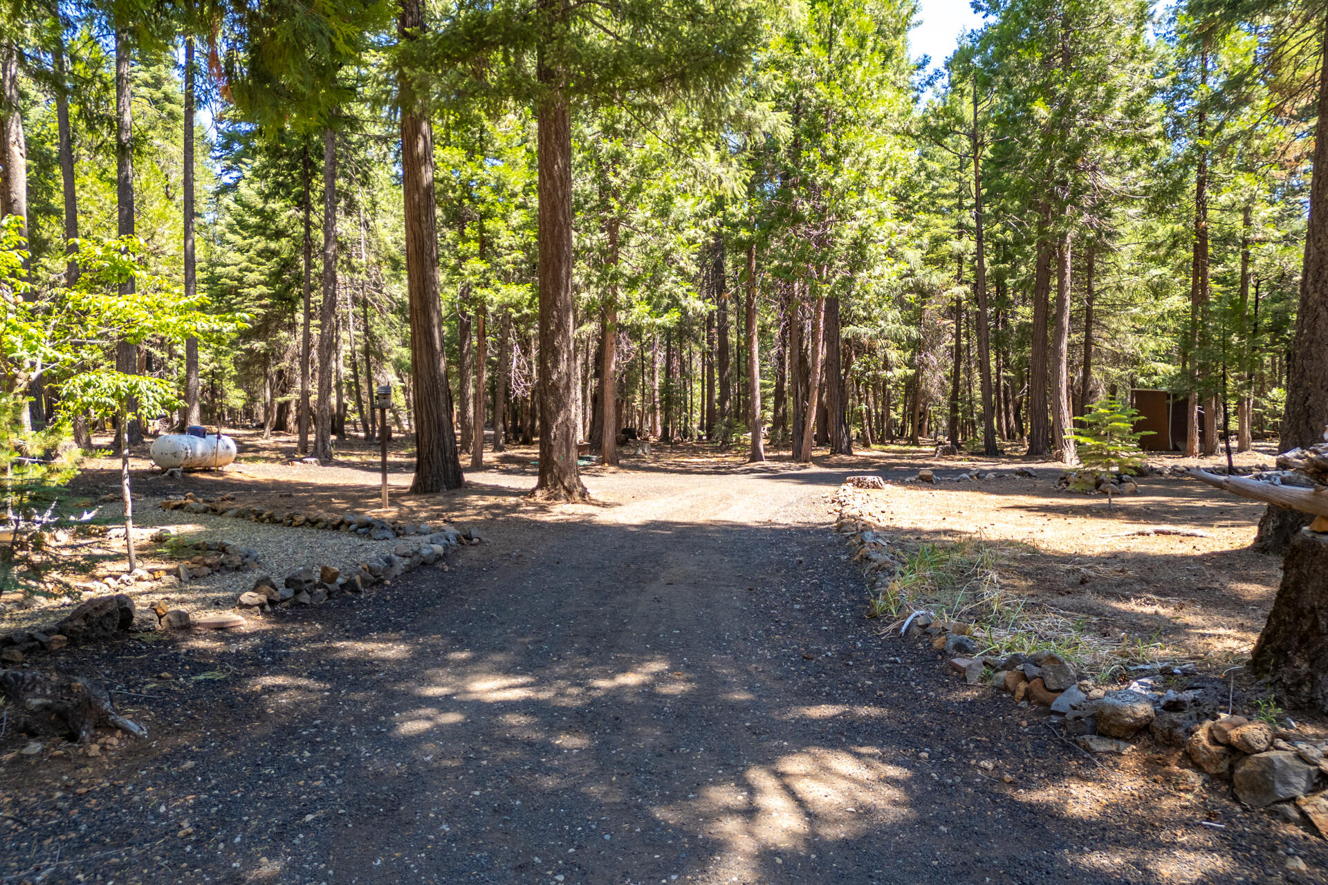 8308 Lost Mill Road Shingletown, CA 96088 - Photo 47 of 51 DJI_0728-HDR