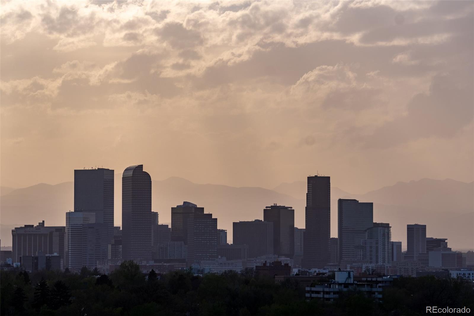 1155 Ash Street, Unit 202 Denver, CO 80220 - Photo 5 of 33
