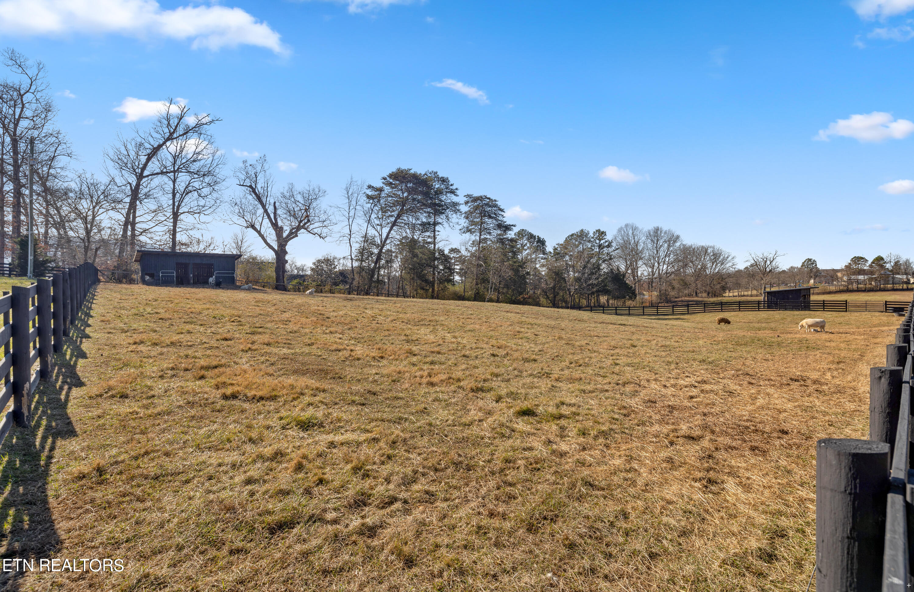 7300 Corryton Road Corryton, TN 37721 - Photo 41 of 50 Positive Perceptions-64