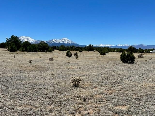 23 River Ridge Trail Walsenburg, CO 81089 - Photo 10 of 18 Gallery Image 10