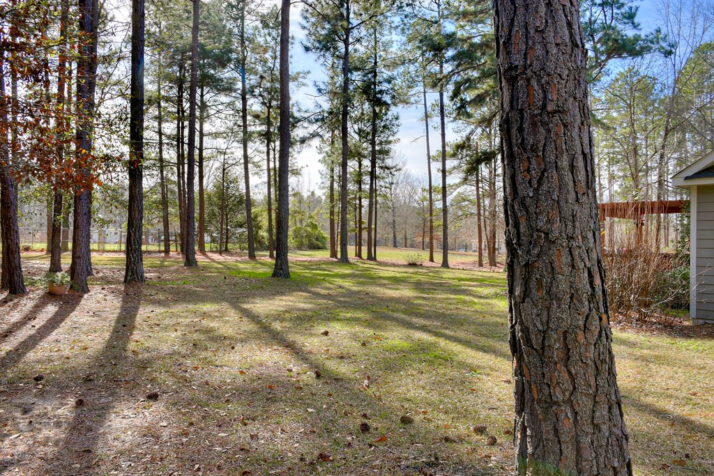 4394 Sand Hill Road Thomson, GA 30824 - Photo 36 of 37