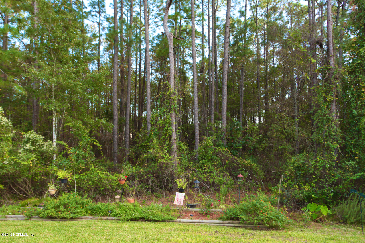 6322 Battlegate Road Jacksonville, FL 32258 - Photo 26 of 37 Garden and Conservation