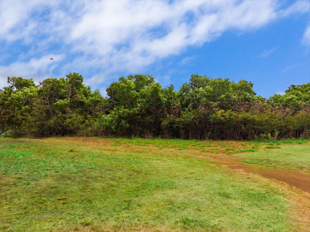 Yamanoha Road, Unit 3 Kapaa, HI 96746 - Photo 3 of 16