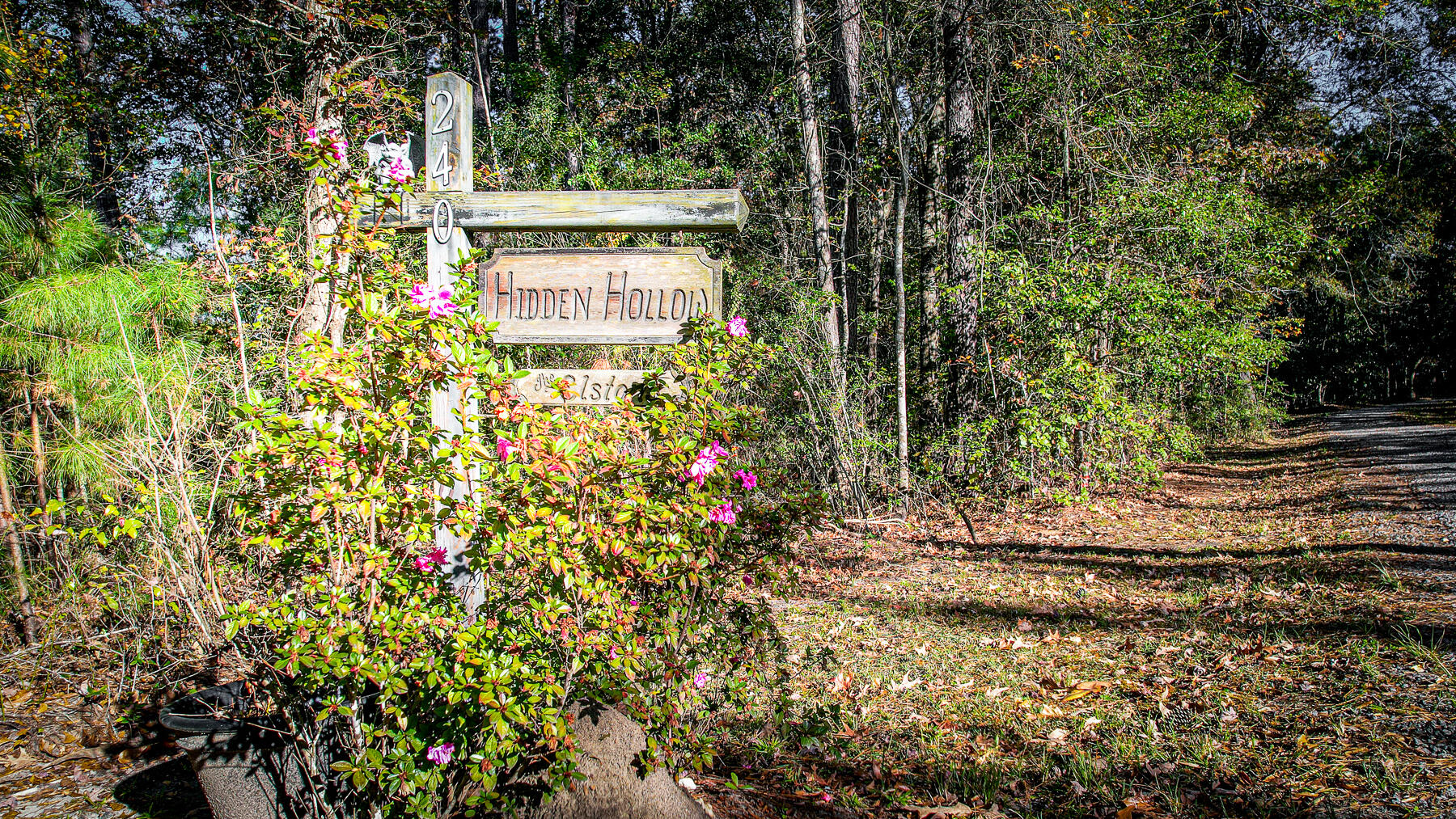 240 Groomsville Road Moncks Corner, SC 29461 - Photo 2 of 101 DV-117