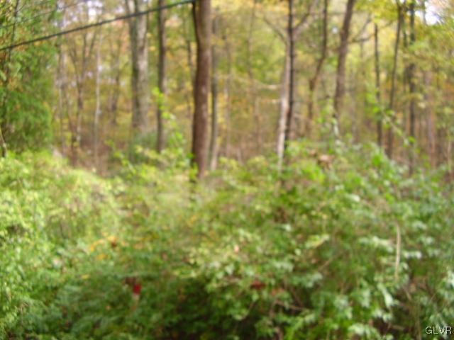 216 Bierys Bridge Road Bethlehem, PA 18017 - Photo 1 of 1 Gallery Image 1