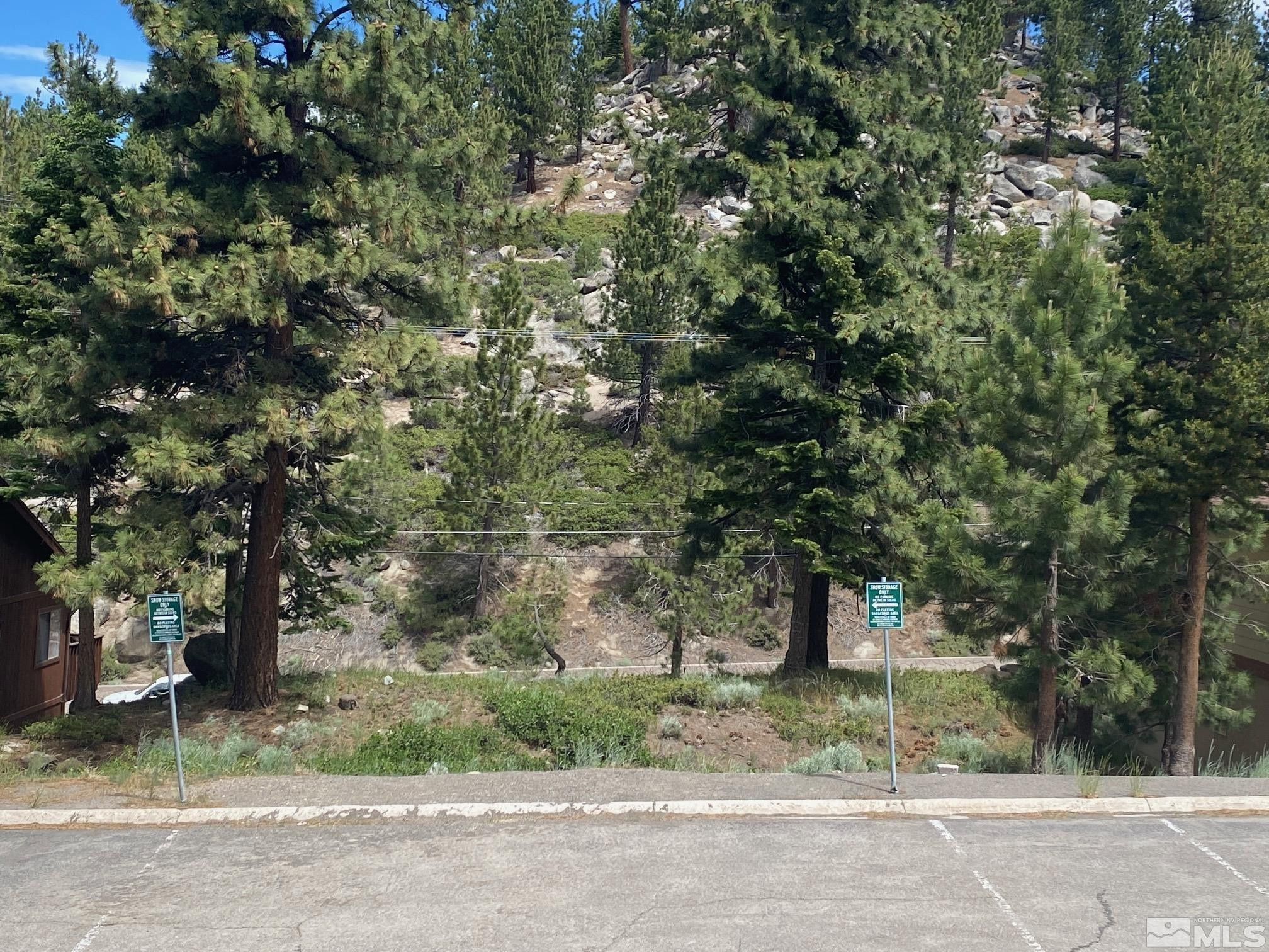 722 Gary Lane, Unit 460 Stateline, NV 89449 - Photo 4 of 5 a picture of tree