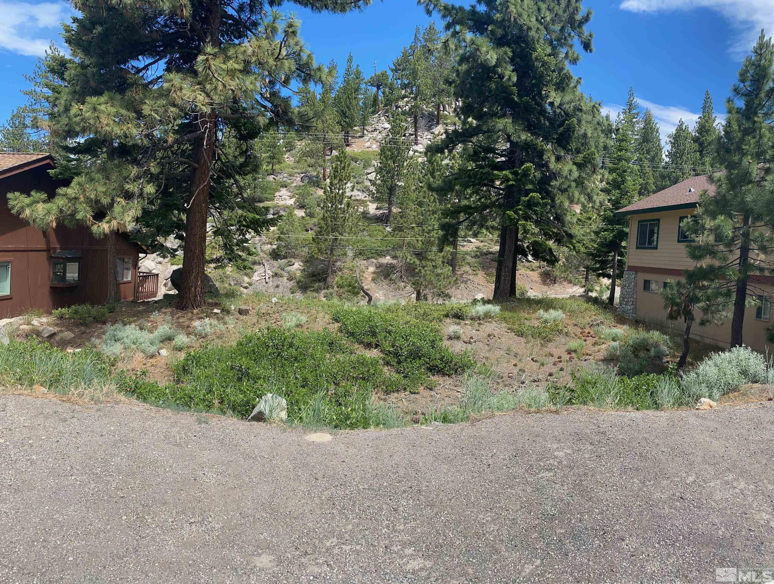 722 Gary Lane, Unit 460 Stateline, NV 89449 - Photo 5 of 5 a view of a house with a tree and plants