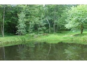 17 Webster Road Gilmanton, NH 03837 - Photo 4 of 6 Gallery Image 4