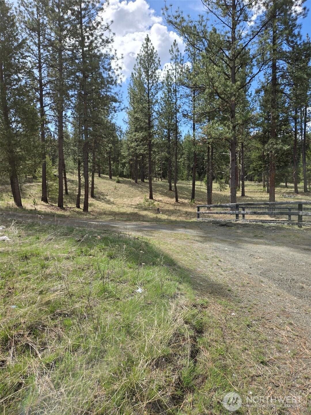 117 Squirrel Road Tonasket, WA 98855 - Photo 12 of 24 a swimming pool with trees in the background