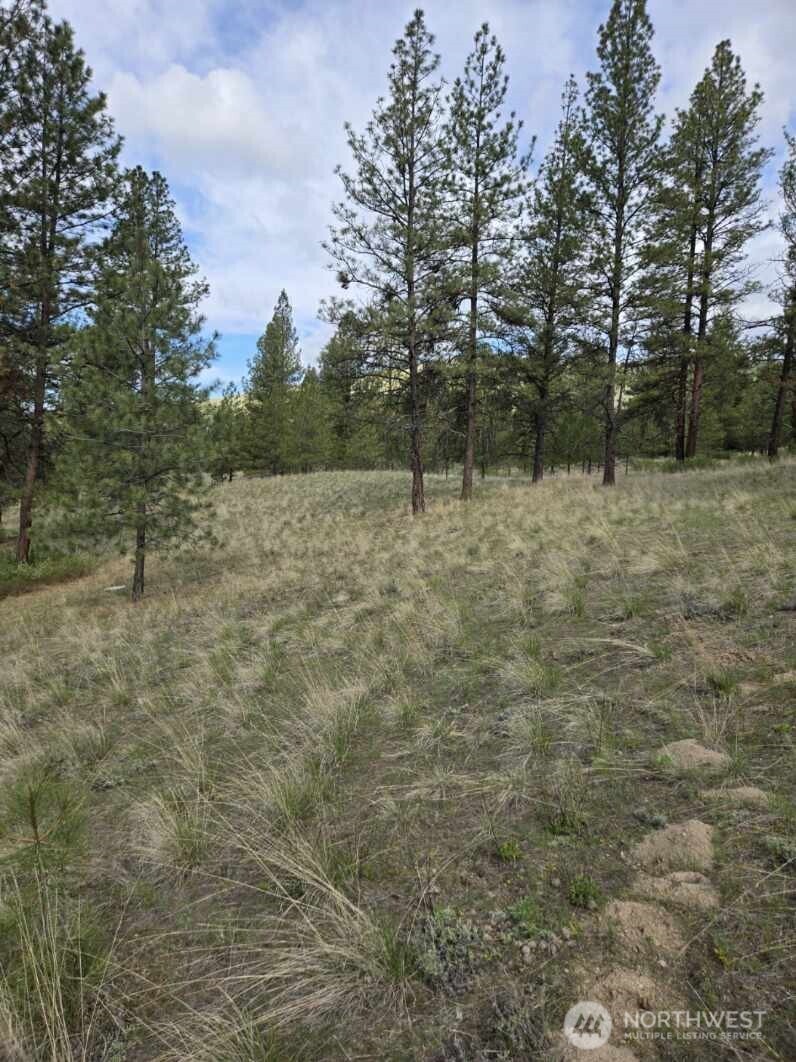 117 Squirrel Road Tonasket, WA 98855 - Photo 13 of 24 a view of outdoor space and yard