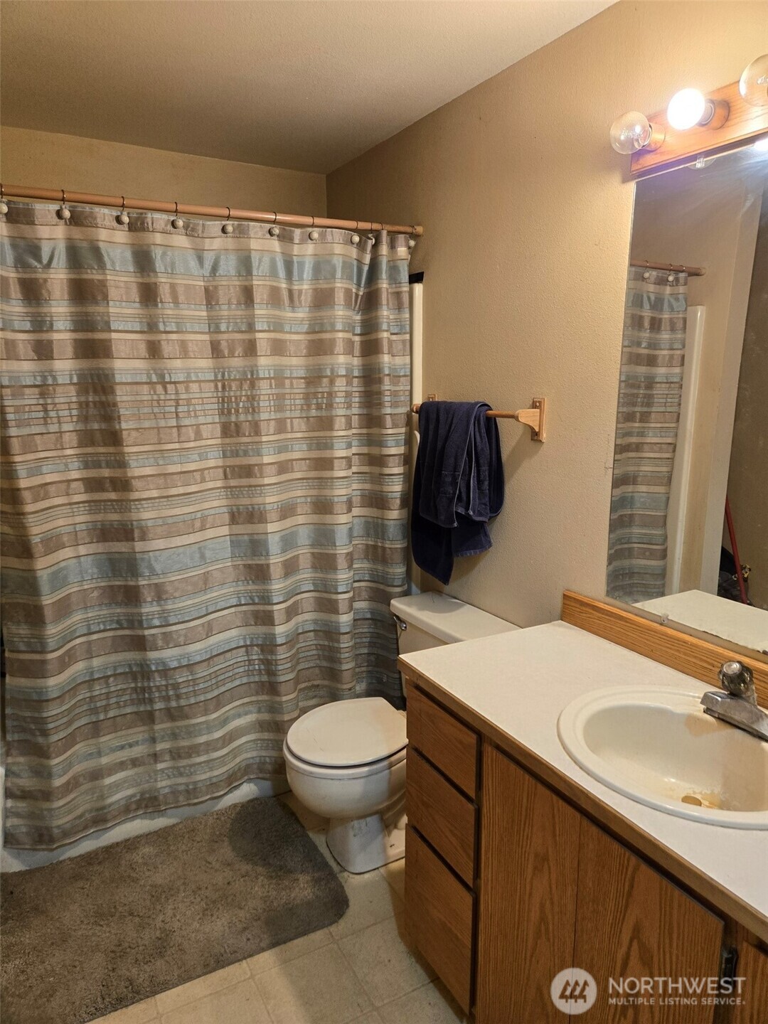 117 Squirrel Road Tonasket, WA 98855 - Photo 22 of 24 a bathroom with a sink a toilet and shower curtain