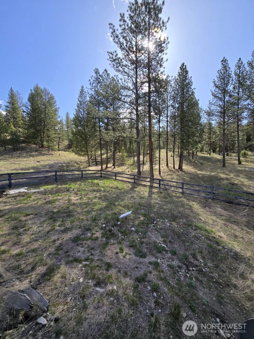 117 Squirrel Road Tonasket, WA 98855 - Photo 9 of 24 a view of field with trees