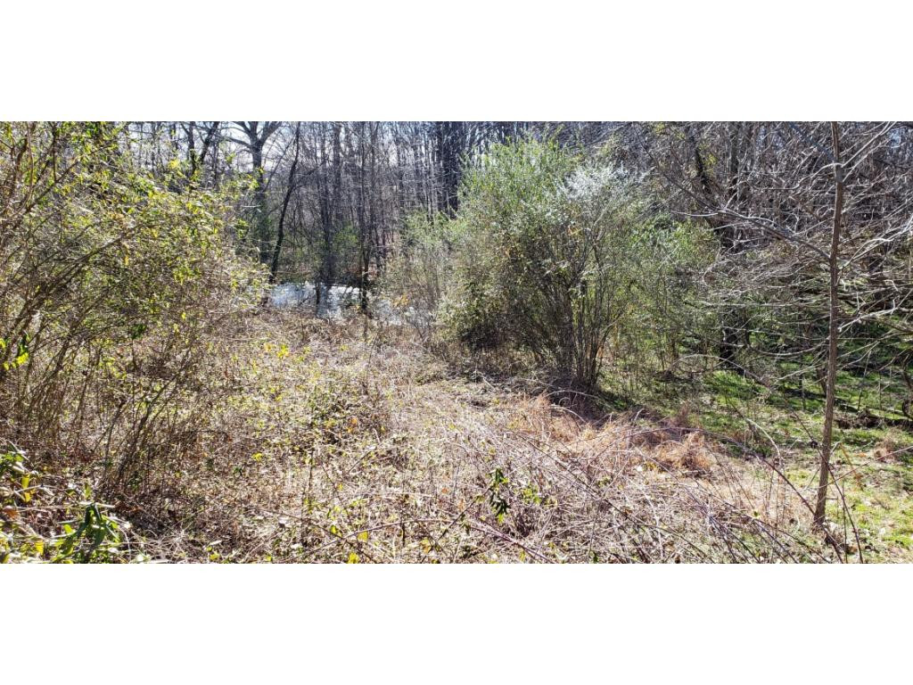1875 Happy Valley Road, Unit 8 Limestone, TN 37681 - Photo 8 of 12 Photo 8