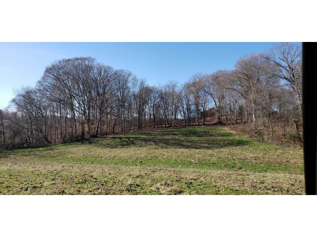 1875 Happy Valley Road, Unit 8 Limestone, TN 37681 - Photo 10 of 12 Photo 10