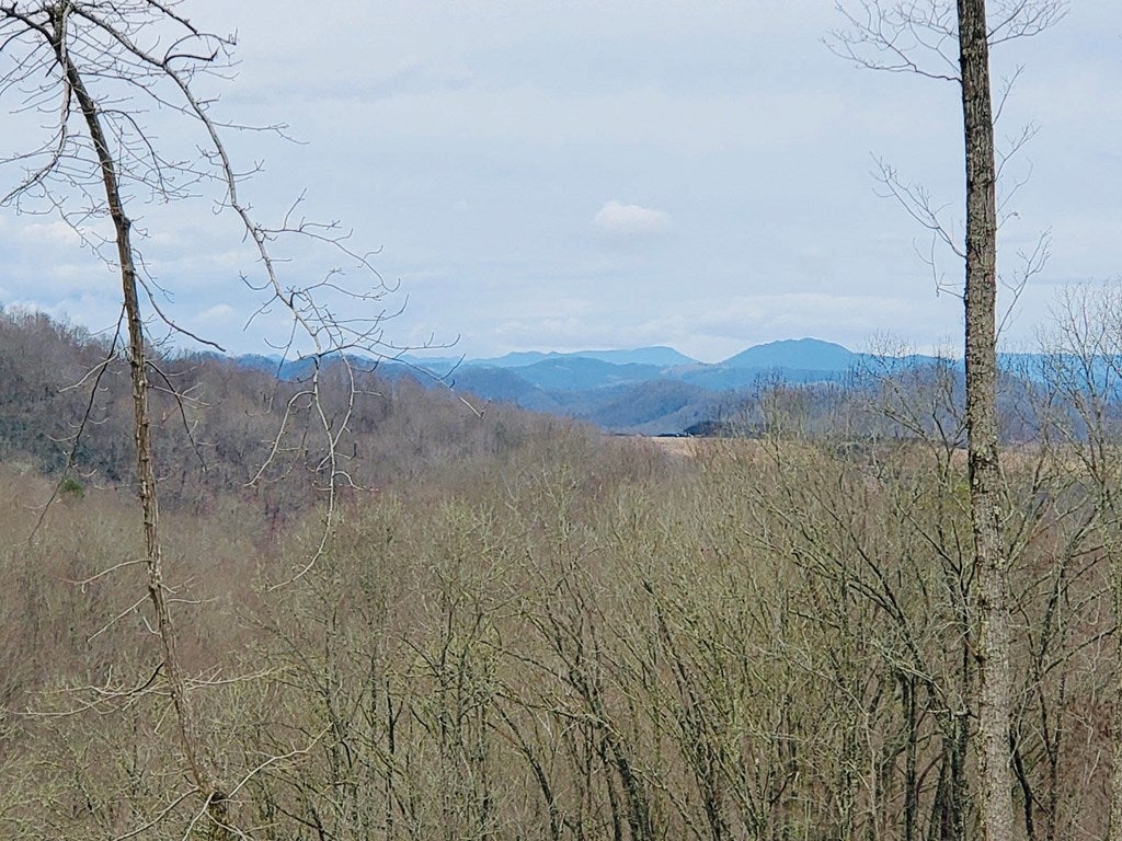Tbd Gravel Lick Road Cleveland, VA 24225 - Photo 28 of 32 Gallery Image 28