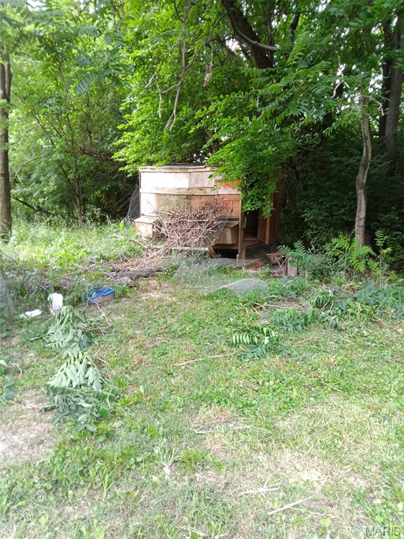 16678 Conrad Road Brighton, IL 62012 - Photo 12 of 39