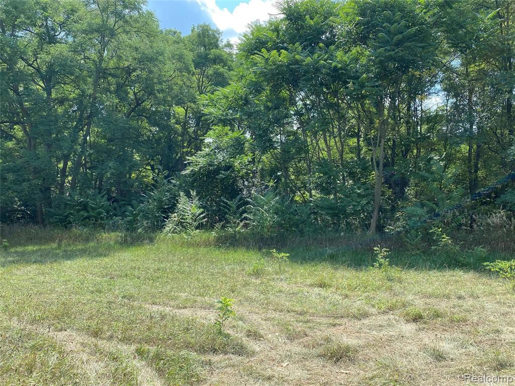 1405 South Hospital Road Waterford, MI 48327 - Photo 9 of 22
