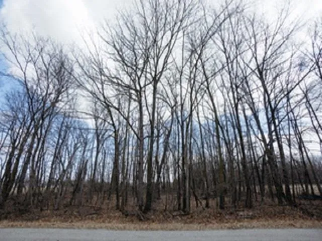 $53,900 | Nelson Road, Unit 3, Fond du Lac, WI 54937