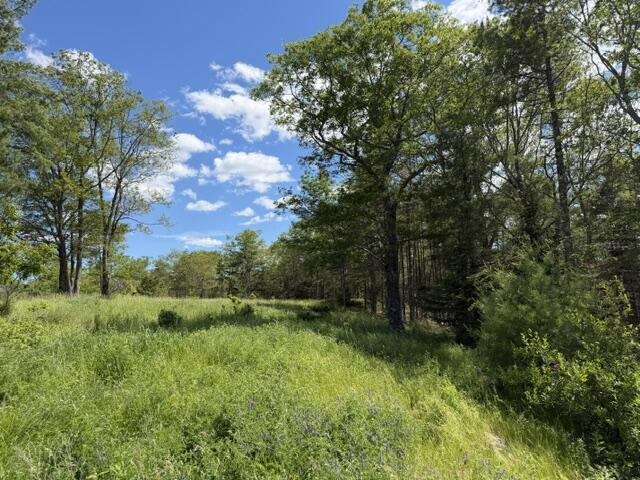 306 Cross Point Road, Unit AREAR LOT Edgecomb, ME 04556 - Photo 12 of 19 IMG_5101