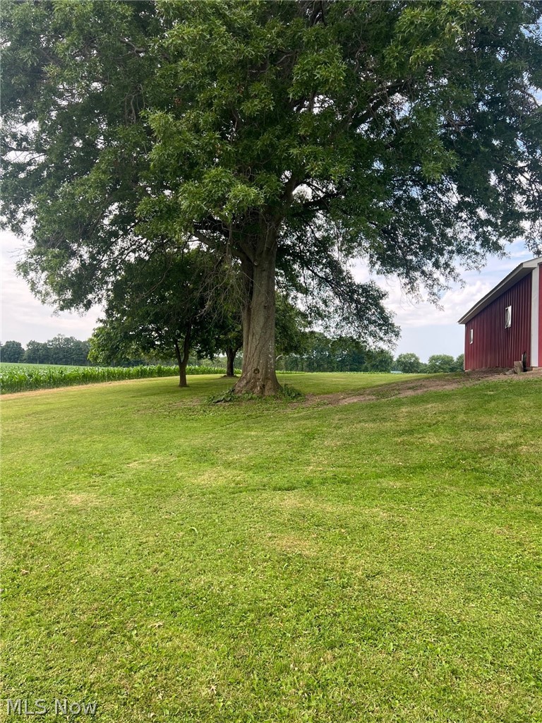 6646 County Line Road Kinsman, OH 44428 - Photo 12 of 12