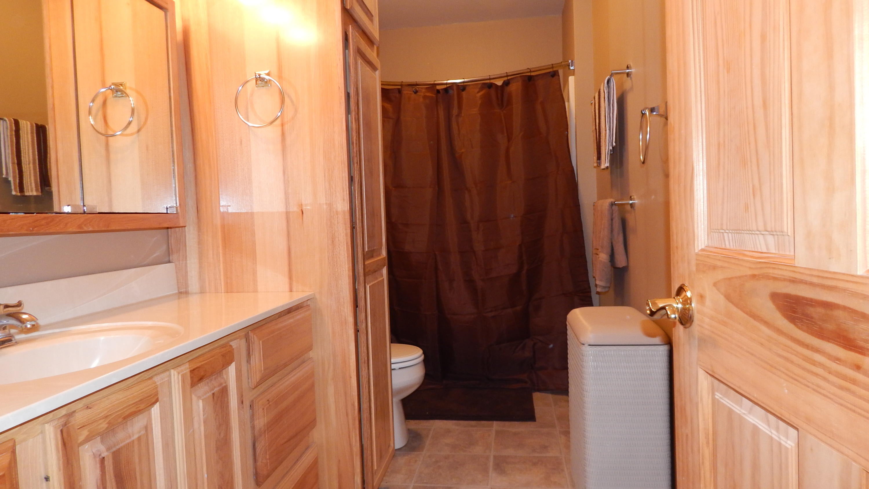 10622 West Irish Line Road Brimley, MI 49715 - Photo 14 of 65 Gallery Image 14